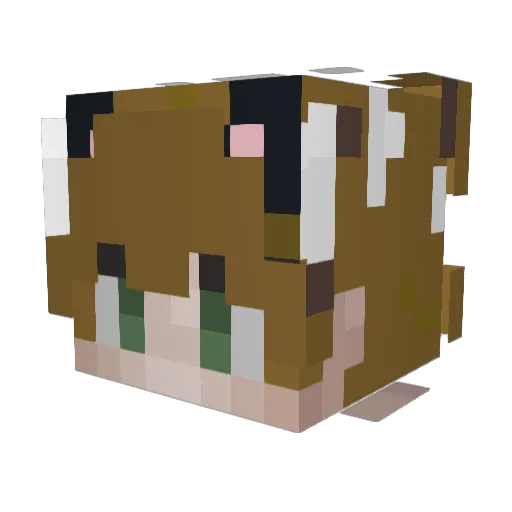 hrojk Minecraft avatar head, 3D render