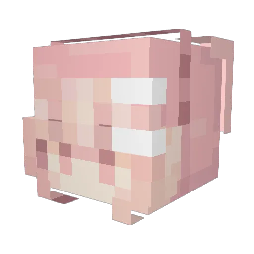 hrrn0x0 Minecraft avatar head, 3D render