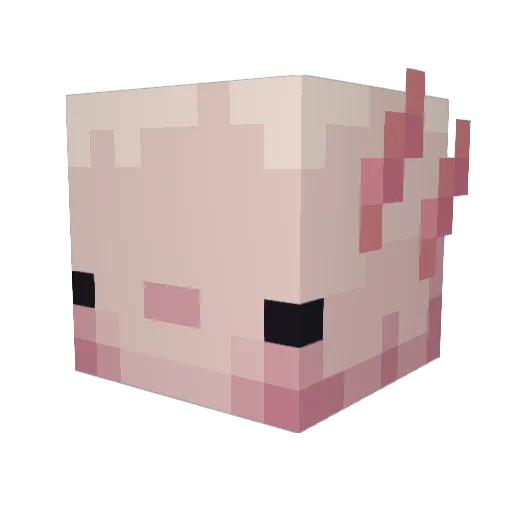 hrtyx Minecraft avatar head, 3D render