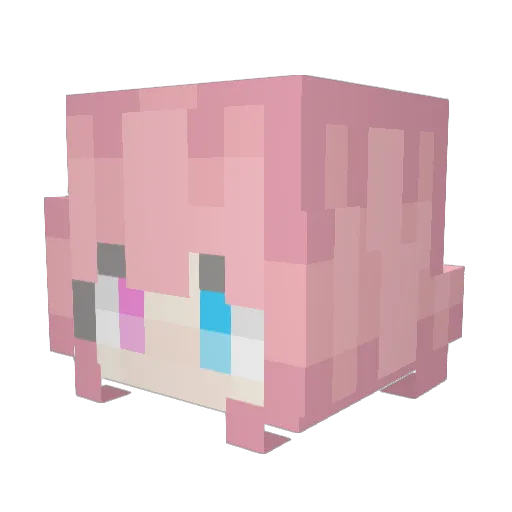 hrybt Minecraft avatar head, 3D render
