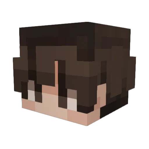 hrymys Minecraft avatar head, 3D render
