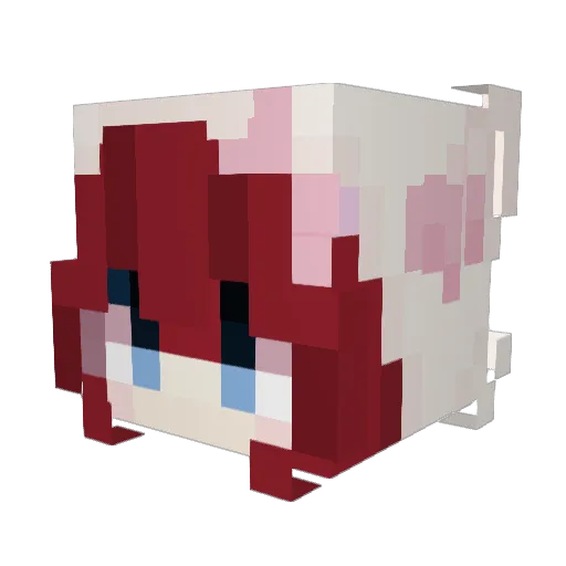 hscentrals Minecraft avatar head, 3D render