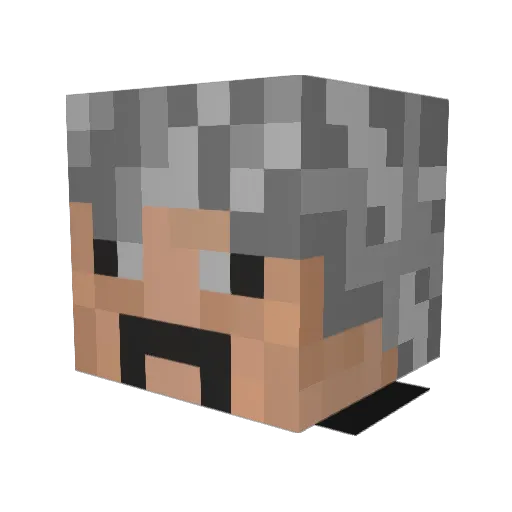 hsds_ Minecraft avatar head, 3D render