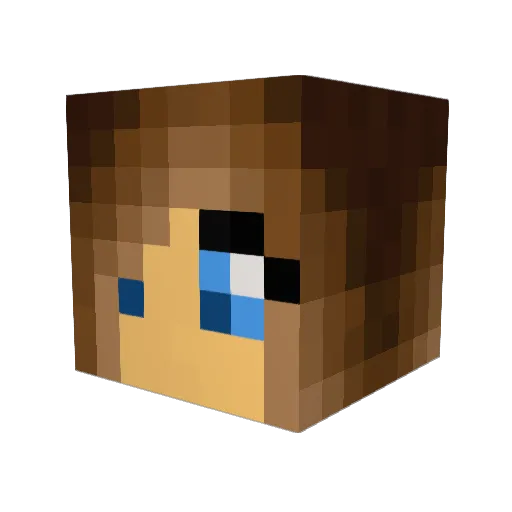 hshaner74 Minecraft avatar head, 3D render