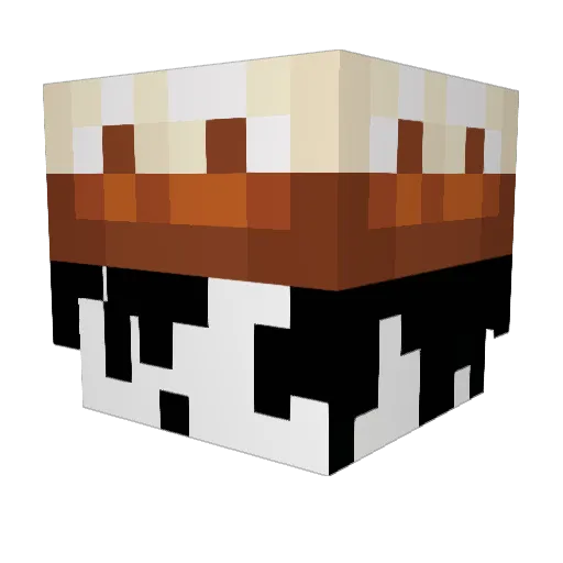 hsmr Minecraft avatar head, 3D render