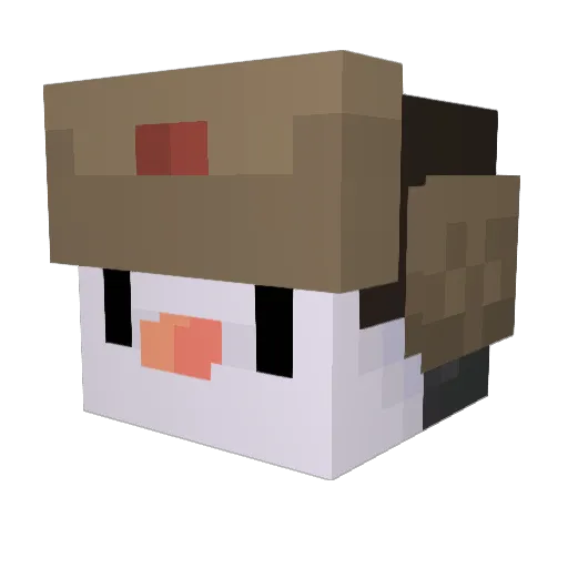 hsoaim4 Minecraft avatar head, 3D render