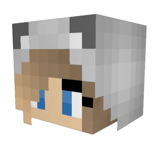 hsomeday Minecraft avatar head, 3D render