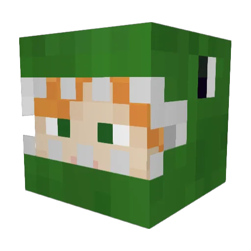 hsp308 Minecraft avatar head, 3D render