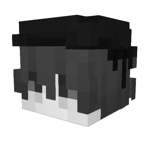 hss2024 Minecraft avatar head, 3D render
