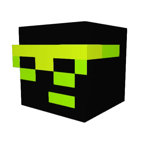hstn1999 Minecraft avatar head, 3D render