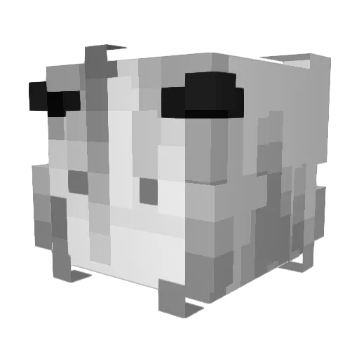hswww1 Minecraft avatar head, 3D render