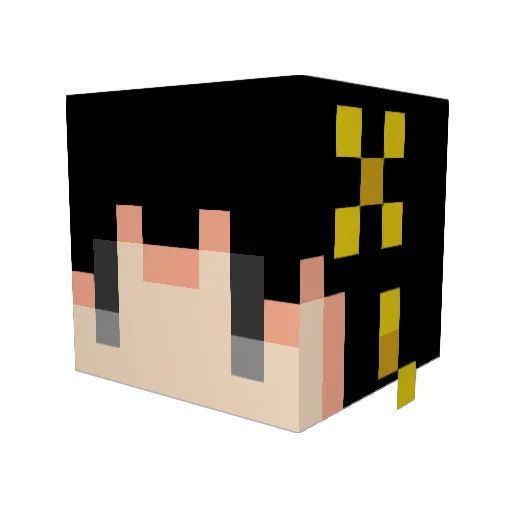 hsy339 Minecraft avatar head, 3D render