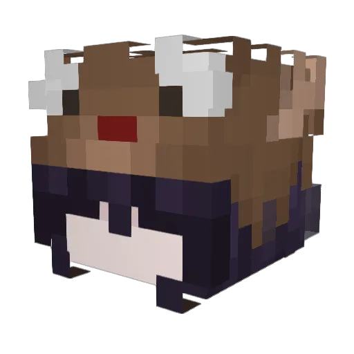 htcat Minecraft avatar head, 3D render