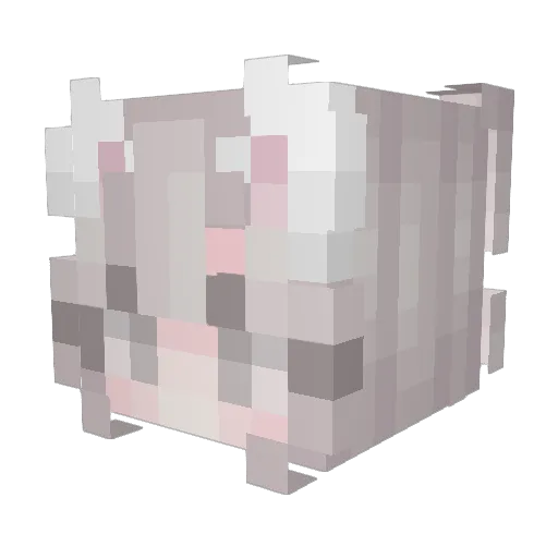 htroQiao Minecraft avatar head, 3D render