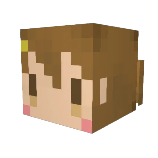 htt27 Minecraft avatar head, 3D render