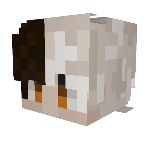 httpStar Minecraft avatar head, 3D render