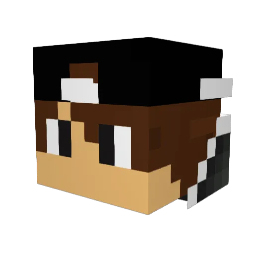 http_noah Minecraft avatar head, 3D render