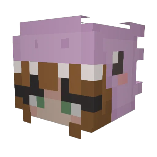 https_houle Minecraft avatar head, 3D render