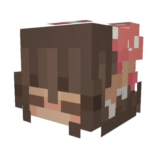 https_tsuki Minecraft avatar head, 3D render