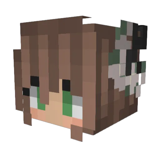 httpserror_ Minecraft avatar head, 3D render