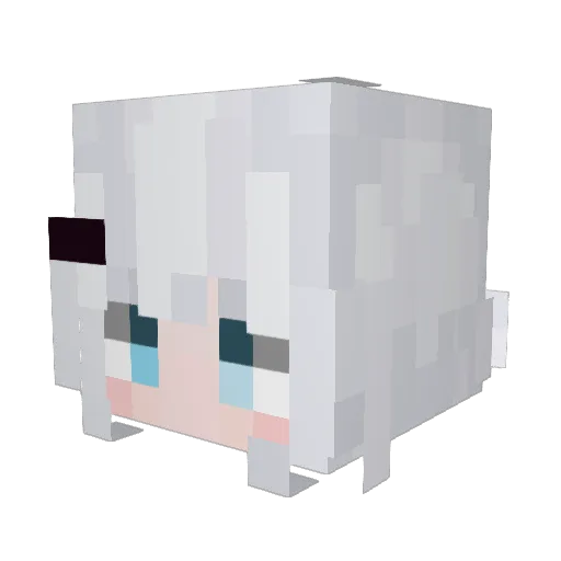 hu5ua Minecraft avatar head, 3D render