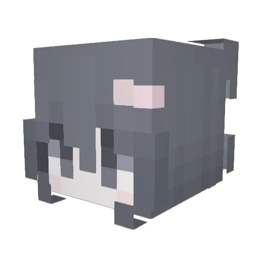 huai2005 Minecraft avatar head, 3D render