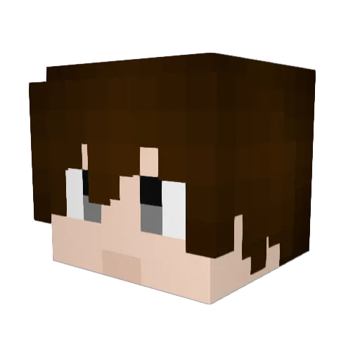 huaxinjun Minecraft avatar head, 3D render