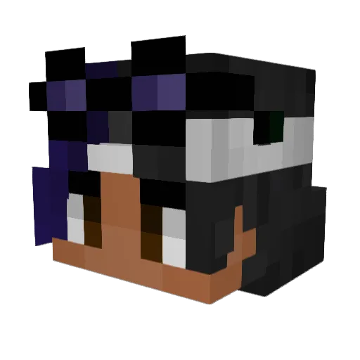 hubcio78922 Minecraft avatar head, 3D render
