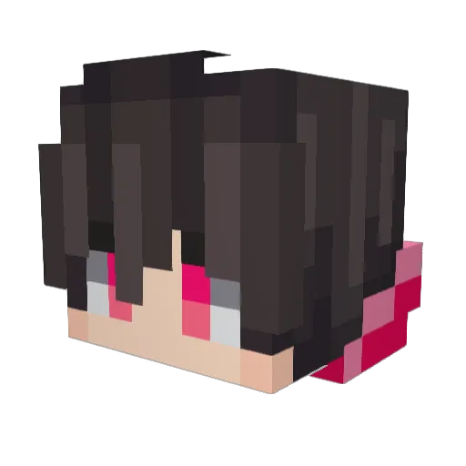 hubik1508 Minecraft avatar head, 3D render