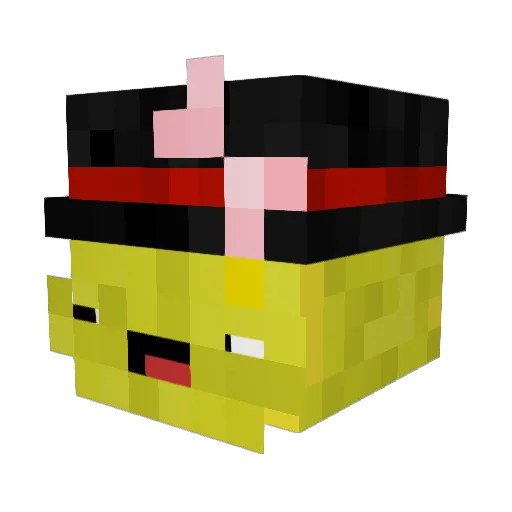 hubluba Minecraft avatar head, 3D render