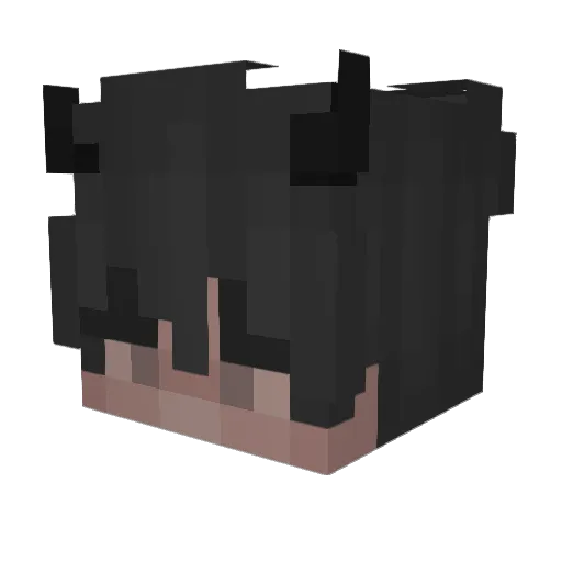 hubportal Minecraft avatar head, 3D render