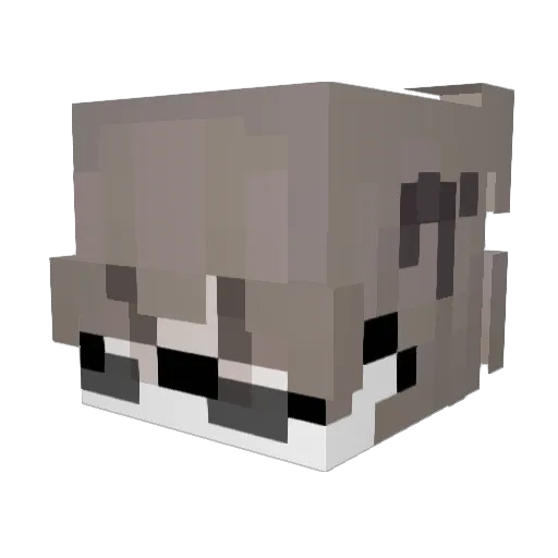 hubsonszeff Minecraft avatar head, 3D render