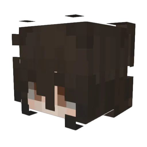 hucre Minecraft avatar head, 3D render