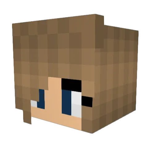 hud1nie Minecraft avatar head, 3D render
