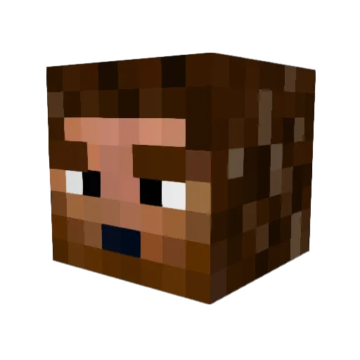 hudpolo Minecraft avatar head, 3D render