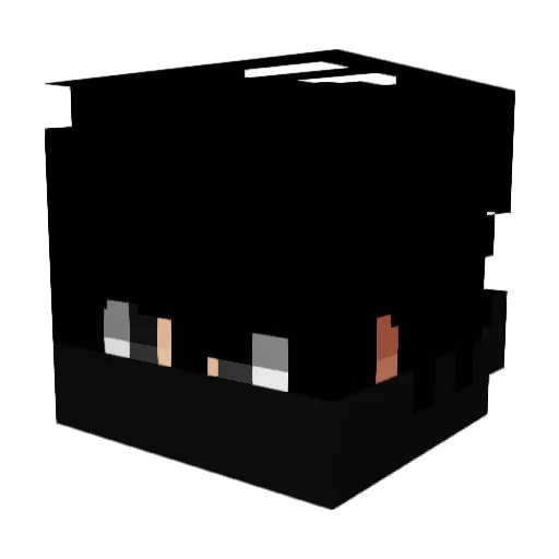 hudsonZ_17 Minecraft avatar head, 3D render