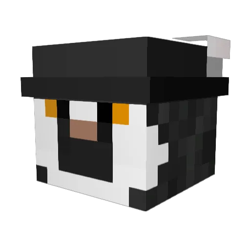 hudsonbell13 Minecraft avatar head, 3D render