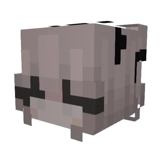 hueningzz Minecraft avatar head, 3D render
