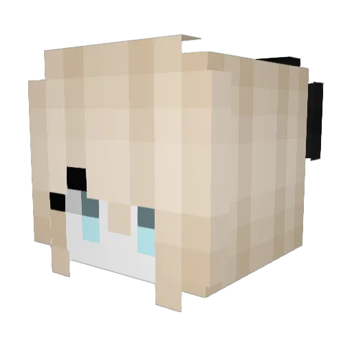 huevo04 Minecraft avatar head, 3D render