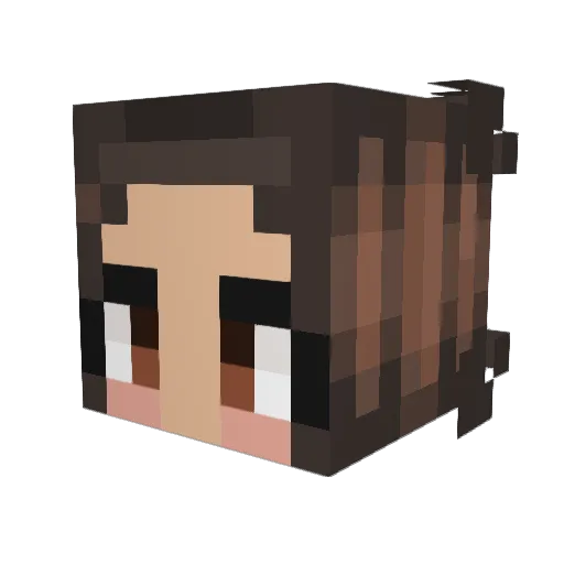 hufflepuff4444 Minecraft avatar head, 3D render