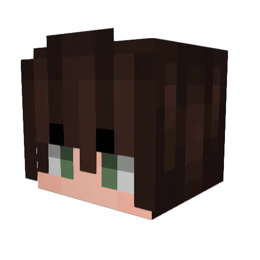 hufllepuff1 Minecraft avatar head, 3D render