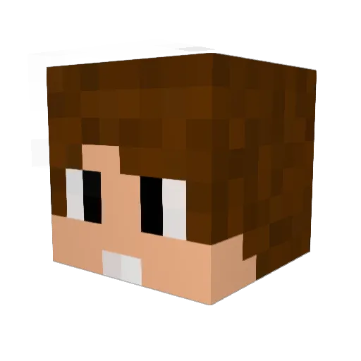 hugoxxs13 Minecraft avatar head, 3D render