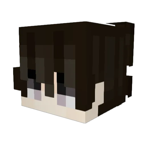 hujhhg Minecraft avatar head, 3D render