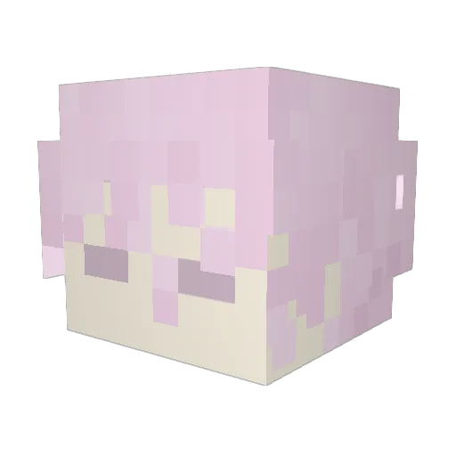 huji9 Minecraft avatar head, 3D render