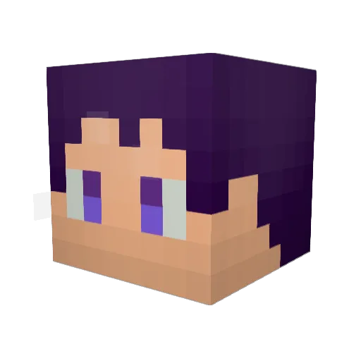 hukudoku Minecraft avatar head, 3D render