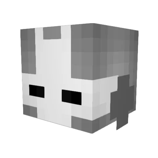 humanoidfish42 Minecraft avatar head, 3D render