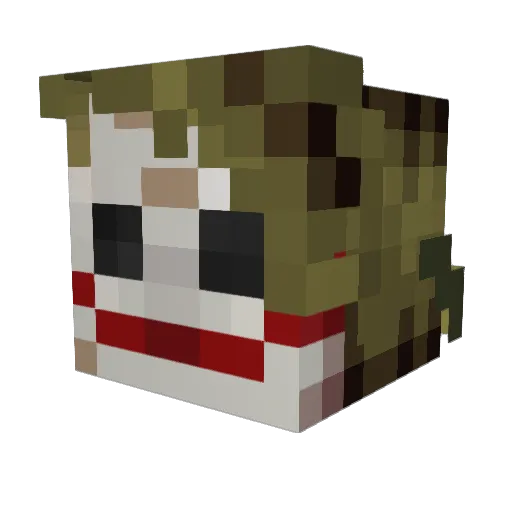 hummusmoney Minecraft avatar head, 3D render