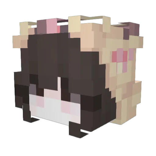 hundd_luna Minecraft avatar head, 3D render