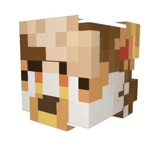 huney_kipp Minecraft avatar head, 3D render