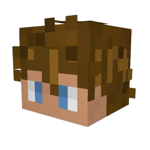 hungHobo_ Minecraft avatar head, 3D render
